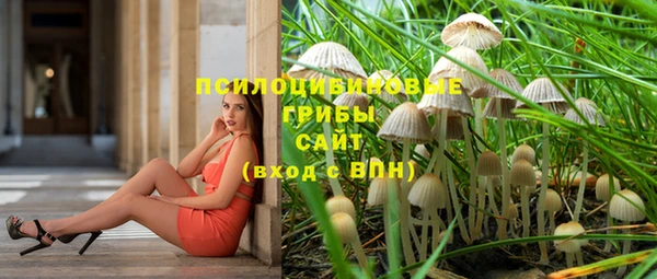первитин Армянск