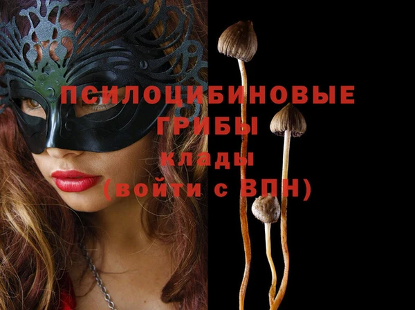 круглые Аркадак