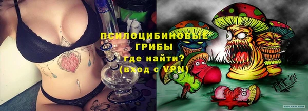 круглые Аркадак