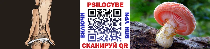 Купить  Сосногорск  Псилоцибиновые грибы Psilocybine cubensis 