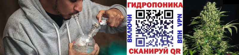 Бошки марихуана Ganja  Купить где  Сосногорск 